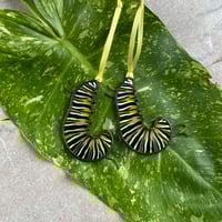 Image 2 of Monarch Caterpillar