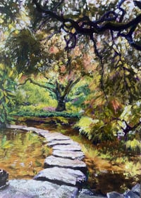 Path Between Light Komorebi