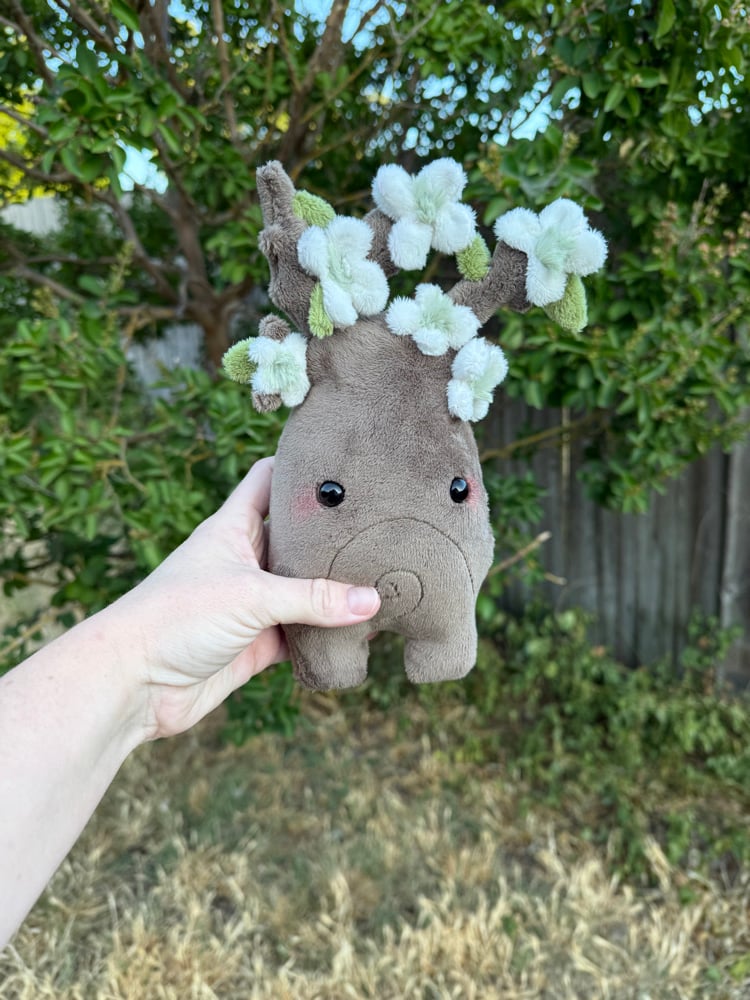 Image of dogwoodtree