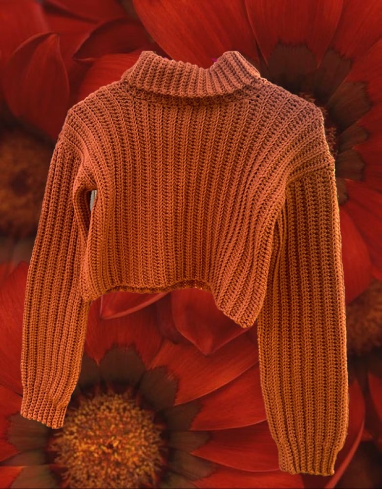 Image of Cropped Turtleneck Sweater 