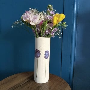 Image of Daisy Range