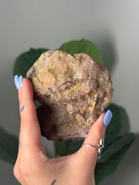 Image 3 of XL PINK AND WHITE ORBY LAGUNA AGATE