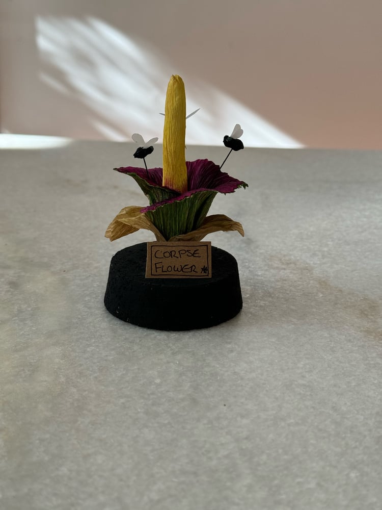 Image of Corpse flower paper plant