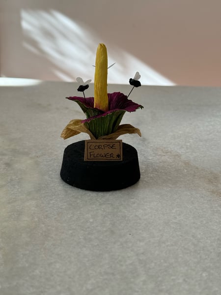 Image of Corpse flower paper plant