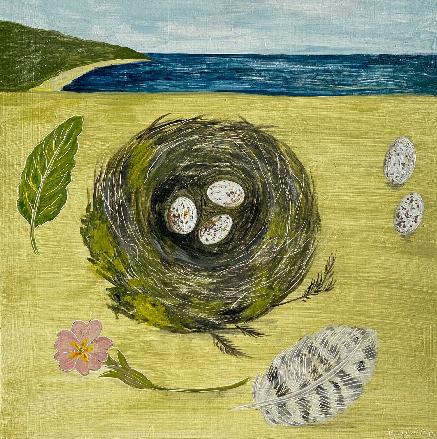 Image of Nest and Primrose by the sea 