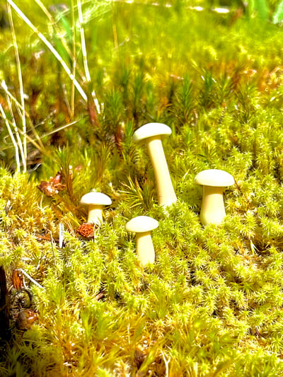 Image of 4 Tan Mushroom Plant Spikes