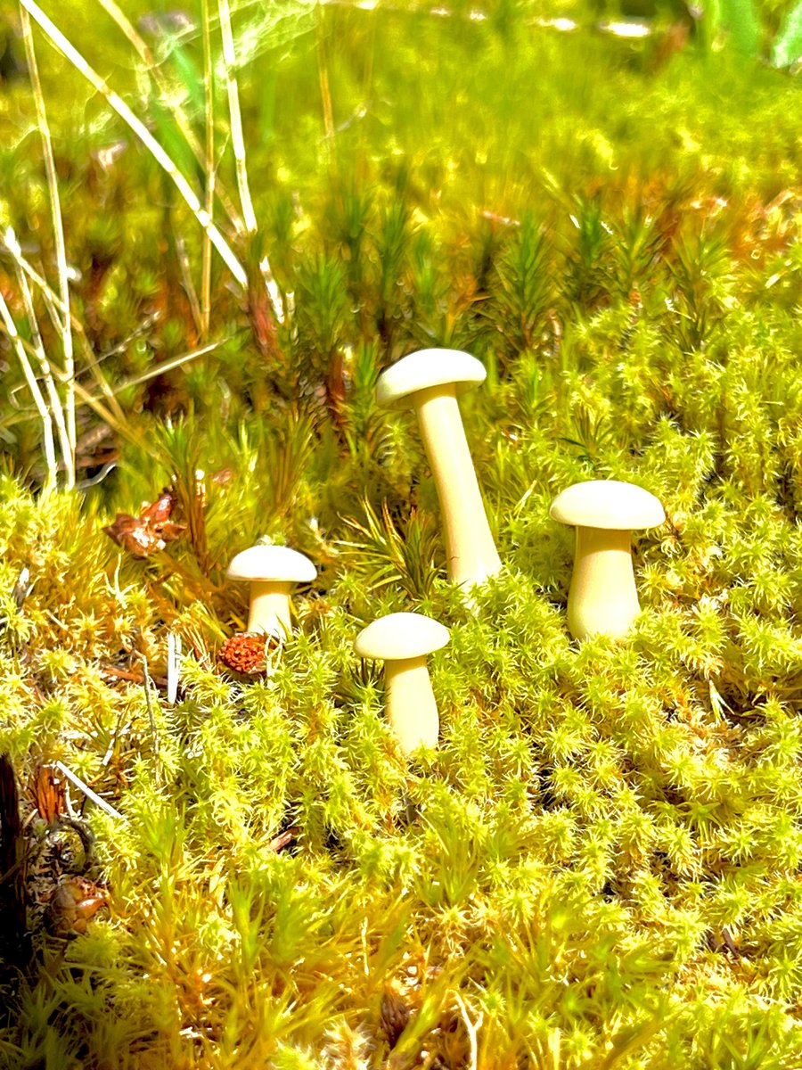 Image of 4 Tan Mushroom Plant Spikes