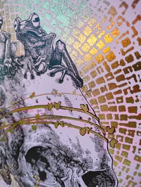 Image 3 of - froggy skull  -