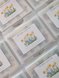 Image 2 of Spring Collection 