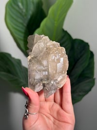 Image 1 of PHANTOM BARITE -MOROCCO- C