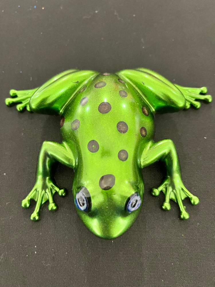 Image of Medium sized Frogs