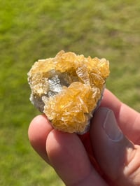 Image 4 of Golden Selenite Specimen #2218