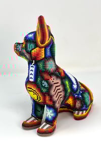 Image 2 of Chihuaha