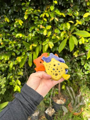 Image of Box fish herb stripper