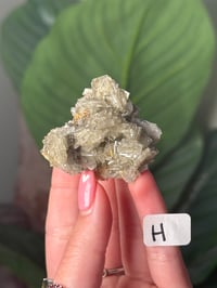 Image 8 of CHOOSE YOUR OWN MULTICOLORED BARITE