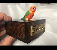 Image 12 of Custom Engraved Sunrise Conure Bird Mini Urn Pet Portrait To Your Photos