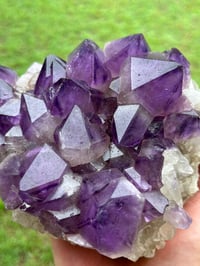 Image 13 of Amethyst Points Cluster | Congo #2868