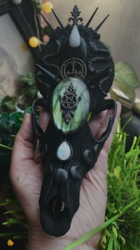 Image 3 of Lilith Coyote skull- for Caitlin 