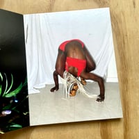 Image 3 of Lua Ribeira - Noises in the Blood 