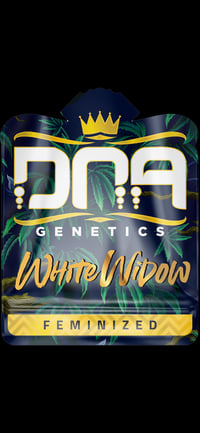 Image 1 of White Widow