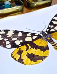 Image 2 of Arctia virginalis GOLDEN DUST COLLECTION ORIGINAL ARTWORK