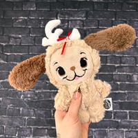 Image 1 of BITTY- Yule Pup