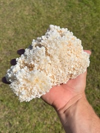 Image 17 of Aragonite On White Calcite Specimen #1243