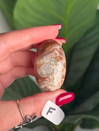Image 12 of CHOOSE YOUR OWN MEXICAN LACE AGATE PALMSTONES 