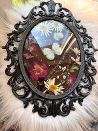 Image 4 of Cabbage White Antique Frame