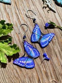 Image 1 of Blue Sapphire Morpho Butterfly Earrings