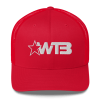Image 5 of WTB White Logo Snapback