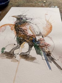 Image 3 of Corbeau 