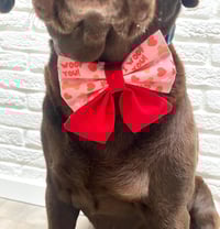 Image 6 of Mutts About You/ Bees or I Woof You, Valentine's Day Bow Ties/ Sailor Bow