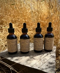 Image 2 of California Poppy tincture 