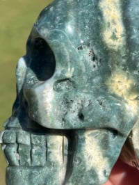 Image 8 of Ocean Jasper Skull #2177