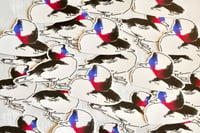 Image 5 of Harlequin & Bufflehead Duck Stickers