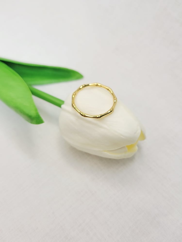 Image of Billy Ring