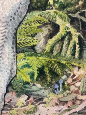 Image of Te Moa O Aotearoa