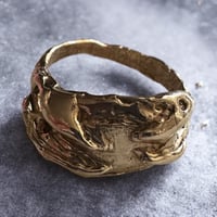 Image 1 of Talons of Brass
