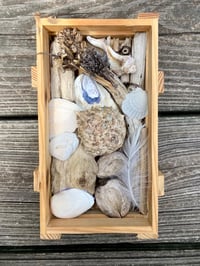 Image 2 of Beach Box #4