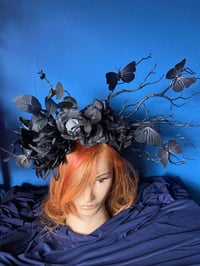 Image 2 of Black Butterflies