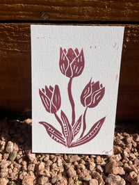 Image 1 of Tulip Print