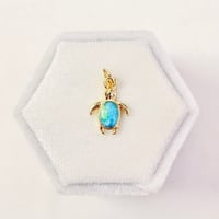 Turtle Charm