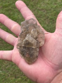 Image 11 of Australian Gypsum / Selenite specimen #796