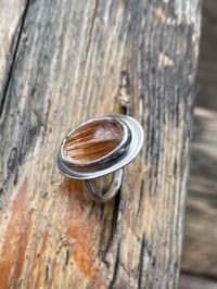 Image 6 of You’re So Golden 