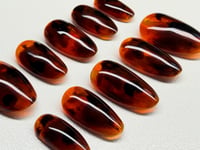 Image 1 of Classic Tortoiseshell Archive 