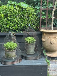Image 4 of Beehive Garden Cloche Set