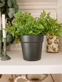 Image 2 of Faux Potted Parsley