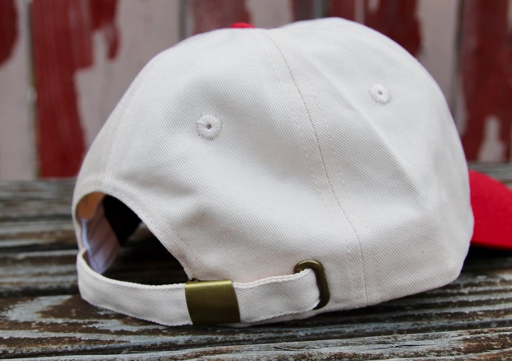 Image of From San Francisco With Love Dad Hat - Stone / Bridge Red