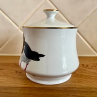 Image 3 of Pied Oystercatcher Sugar Pot